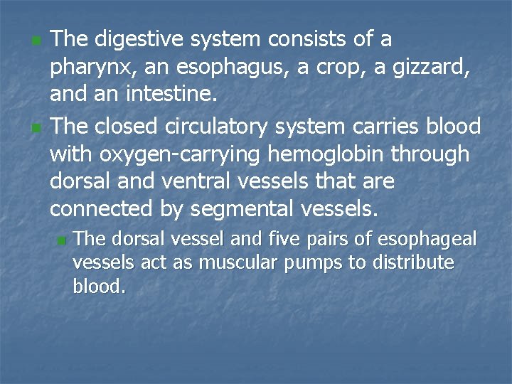 n n The digestive system consists of a pharynx, an esophagus, a crop, a