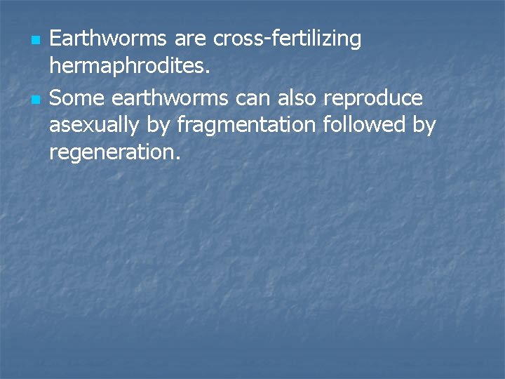 n n Earthworms are cross-fertilizing hermaphrodites. Some earthworms can also reproduce asexually by fragmentation