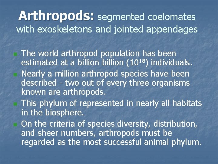 Arthropods: segmented coelomates with exoskeletons and jointed appendages n n The world arthropod population