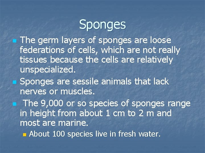 Sponges n n n The germ layers of sponges are loose federations of cells,