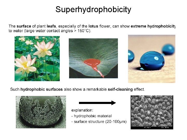 Superhydrophobicity 
