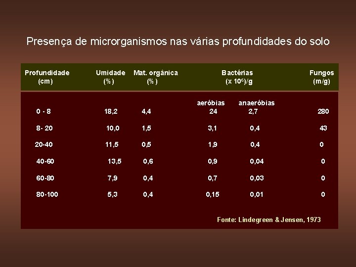 Presença de microrganismos nas várias profundidades do solo Profundidade (cm) Umidade (%) Mat. orgânica