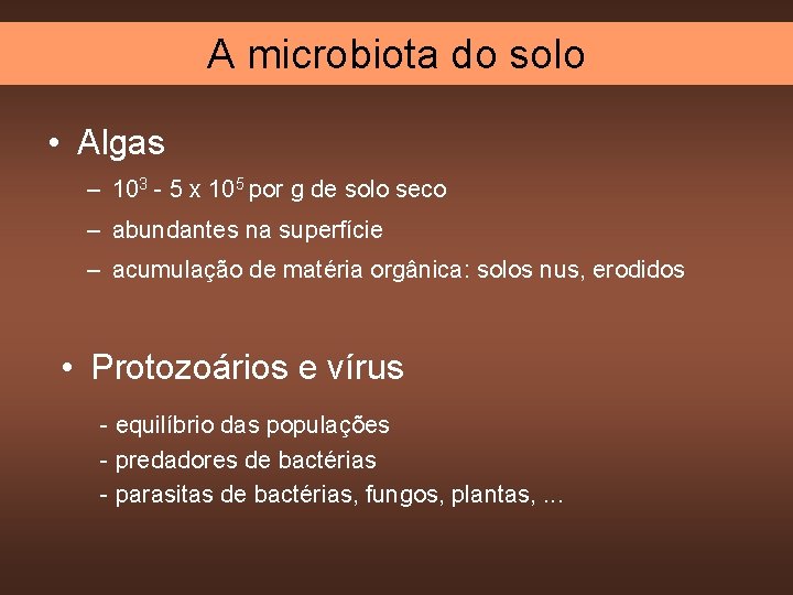 A microbiota do solo • Algas – 103 - 5 x 105 por g