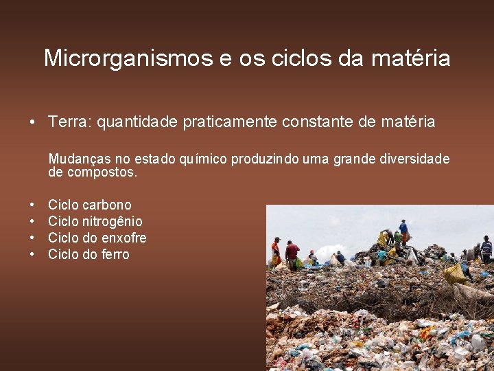 Microrganismos e os ciclos da matéria • Terra: quantidade praticamente constante de matéria Mudanças