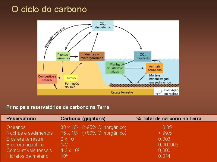 O ciclo do carbono Principais reservatórios de carbono na Terra Reservatório Carbono (gigatons) Oceanos
