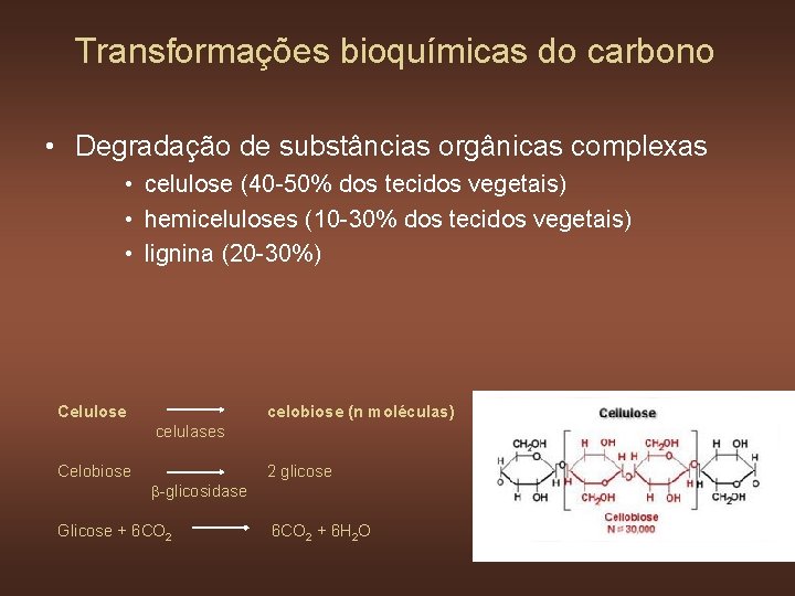 Transformações bioquímicas do carbono • Degradação de substâncias orgânicas complexas • celulose (40 -50%