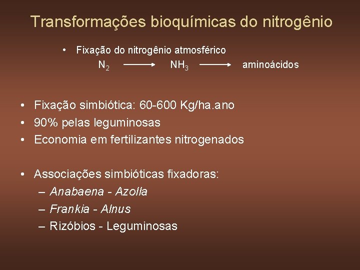 Transformações bioquímicas do nitrogênio • Fixação do nitrogênio atmosférico N 2 NH 3 aminoácidos