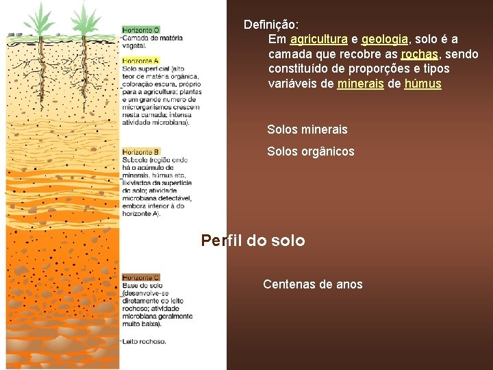 Definição: Em agricultura e geologia, solo é a camada que recobre as rochas, sendo