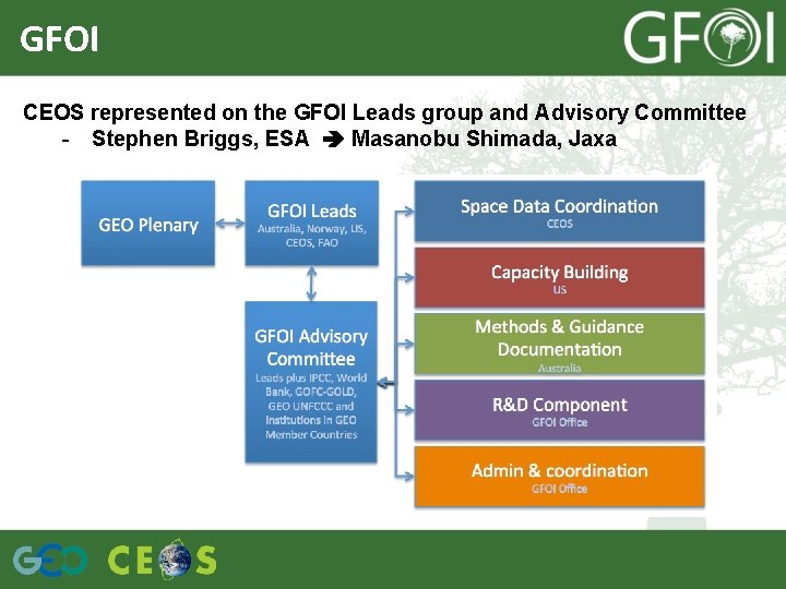 GFOI CEOS represented on the GFOI Leads group and Advisory Committee - Stephen Briggs,