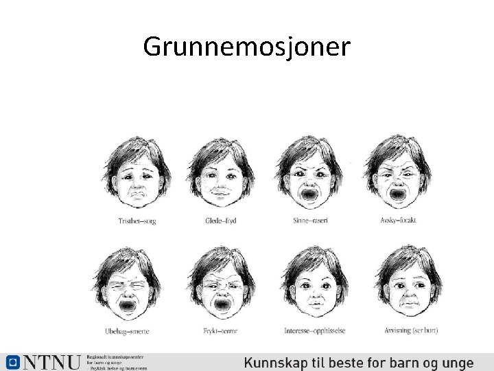 Grunnemosjoner 