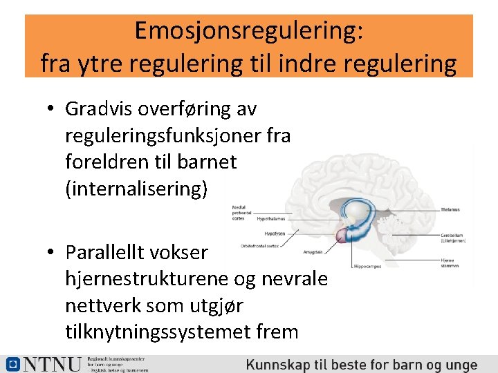 Emosjonsregulering: fra ytre regulering til indre regulering • Gradvis overføring av reguleringsfunksjoner fra foreldren