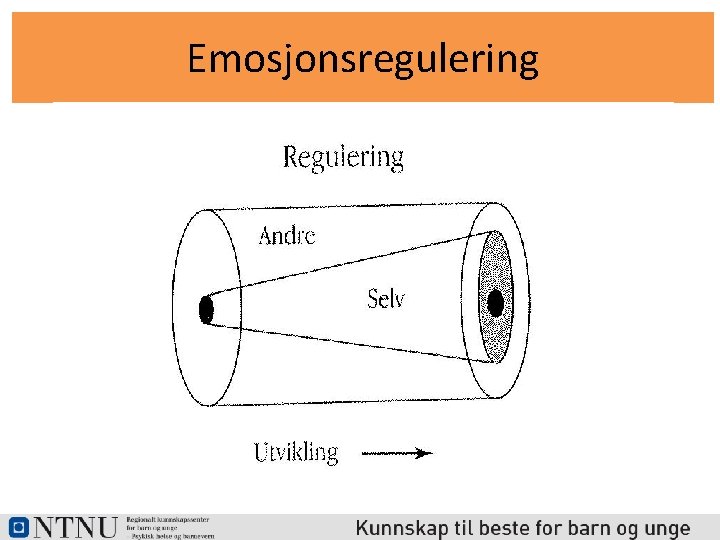30 Emosjonsregulering 