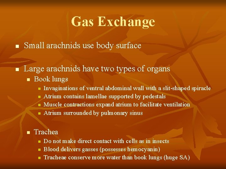 Gas Exchange n Small arachnids use body surface n Large arachnids have two types