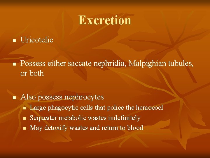 Excretion n Uricotelic Possess either saccate nephridia, Malpighian tubules, or both Also possess nephrocytes