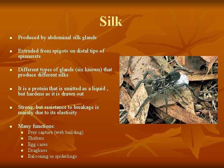 Silk n n n Produced by abdominal silk glands Extruded from spigots on distal