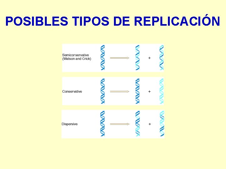 POSIBLES TIPOS DE REPLICACIÓN 