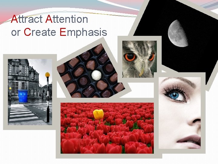 Attract Attention or Create Emphasis 