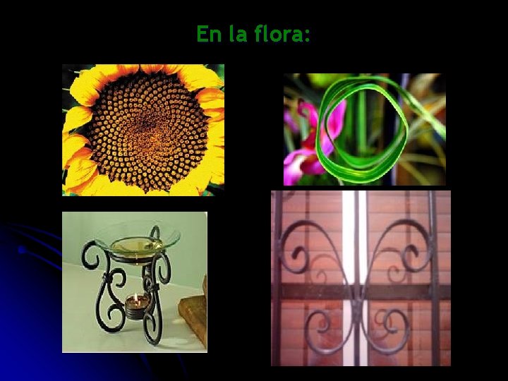 En la flora: 
