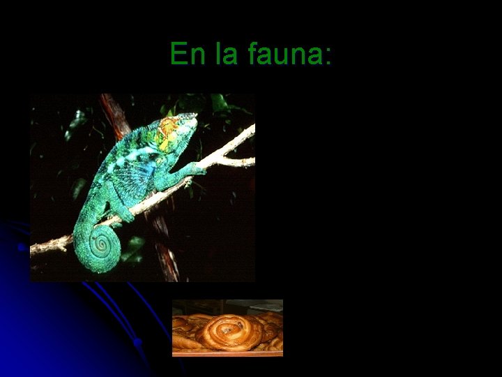 En la fauna: 