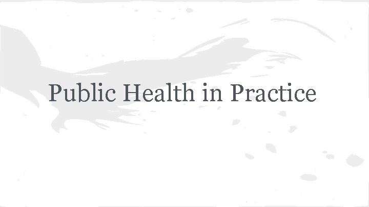 Public Health in Practice 