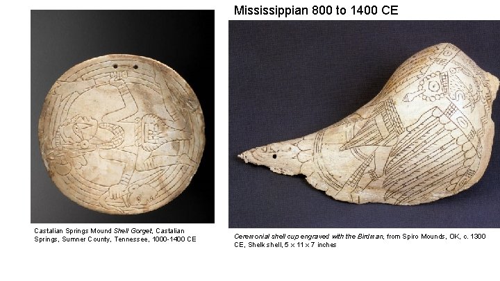 Mississippian 800 to 1400 CE Castalian Springs Mound Shell Gorget, Castalian Springs, Sumner County,