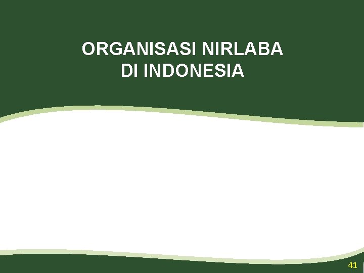 ORGANISASI NIRLABA DI INDONESIA 41 