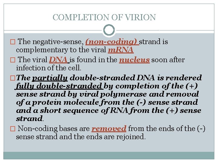  COMPLETION OF VIRION � The negative-sense, (non-coding) strand is complementary to the viral