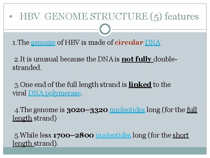  • HBV GENOME STRUCTURE (5) features 1. The genome of HBV is made