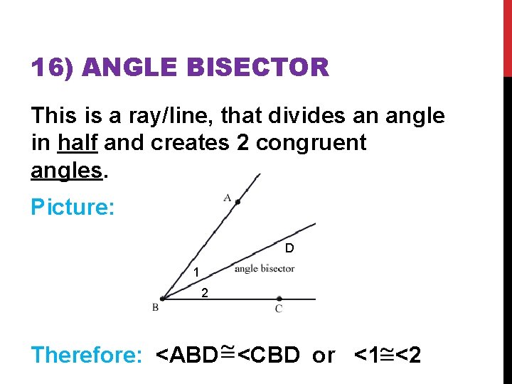 16) ANGLE BISECTOR This is a ray/line, that divides an angle in half and