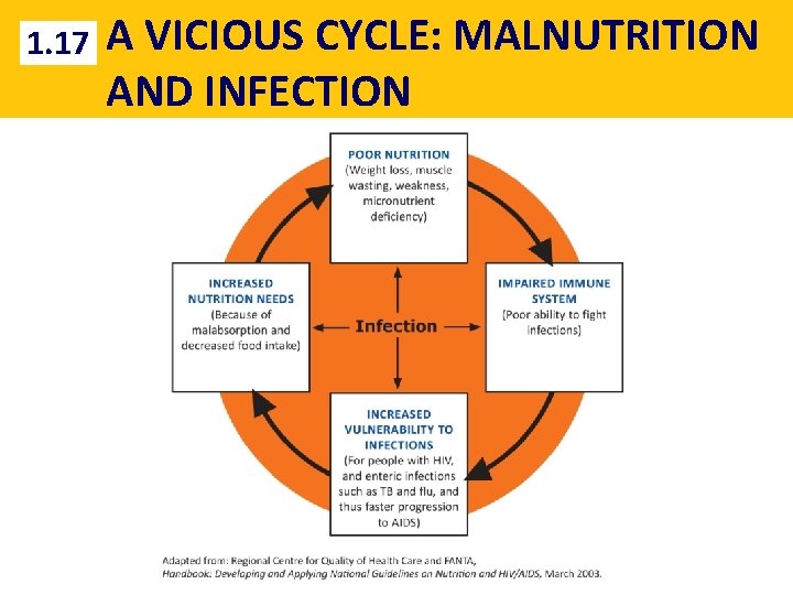 1. 17 A VICIOUS CYCLE: MALNUTRITION AND INFECTION 