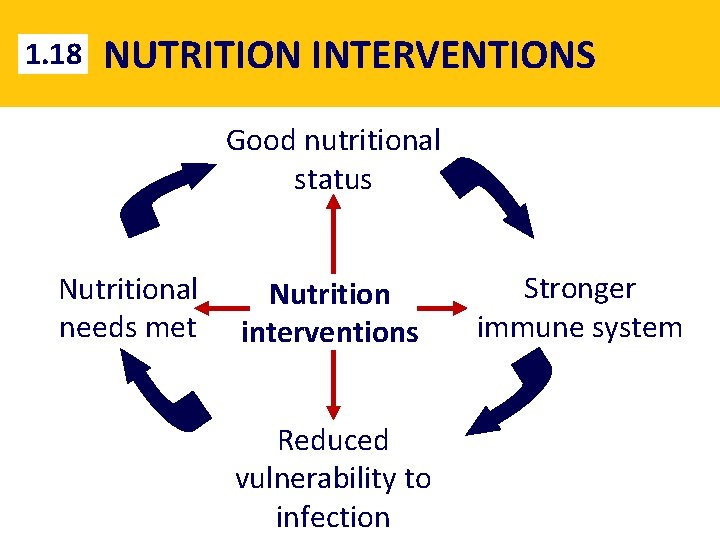 1. 18 NUTRITION INTERVENTIONS Good nutritional status Nutritional needs met Nutrition interventions Reduced vulnerability