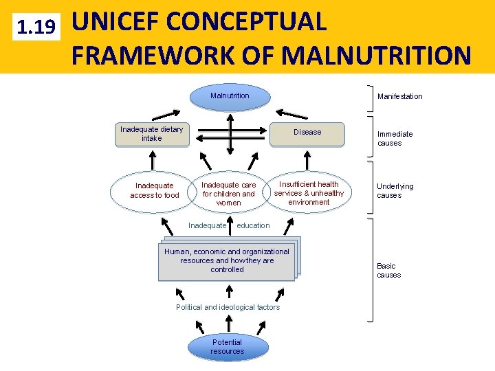 1. 19 UNICEF CONCEPTUAL FRAMEWORK OF MALNUTRITION Malnutrition Manifestation Inadequate dietary intake Inadequate access
