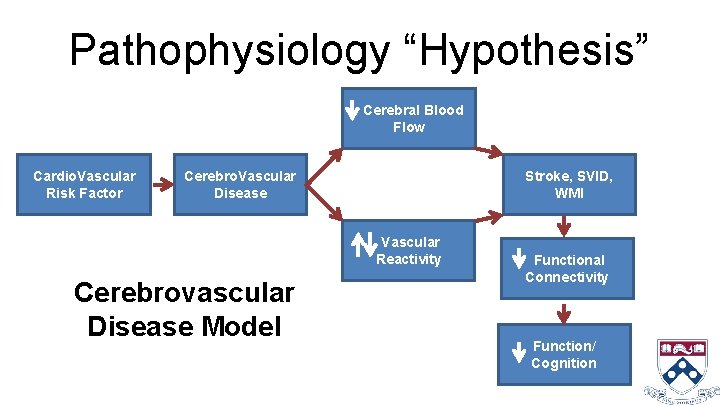 Pathophysiology “Hypothesis” Cerebral Blood Flow Cardio. Vascular Risk Factor Cerebro. Vascular Disease Stroke, SVID,