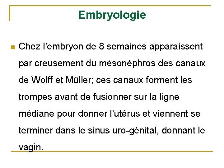 Embryologie n Chez l’embryon de 8 semaines apparaissent par creusement du mésonéphros des canaux