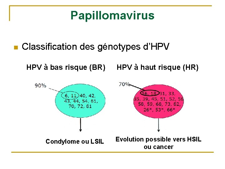 Papillomavirus n Classification des génotypes d’HPV à bas risque (BR) Condylome ou LSIL HPV
