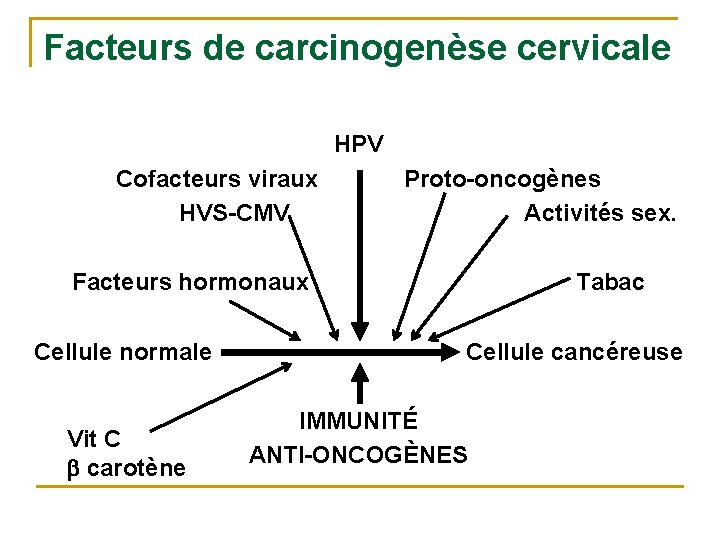Facteurs de carcinogenèse cervicale HPV Cofacteurs viraux HVS-CMV Proto-oncogènes Activités sex. Facteurs hormonaux Cellule
