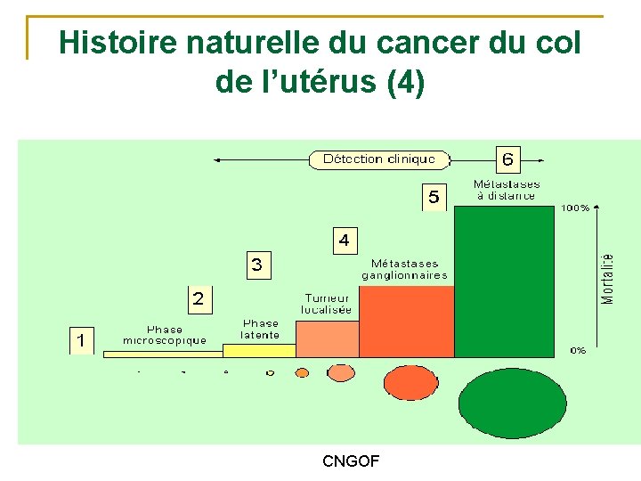 Histoire naturelle du cancer du col de l’utérus (4) CNGOF 