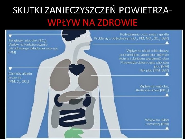 SKUTKI ZANIECZYSZCZEŃ POWIETRZAWPŁYW NA ZDROWIE 