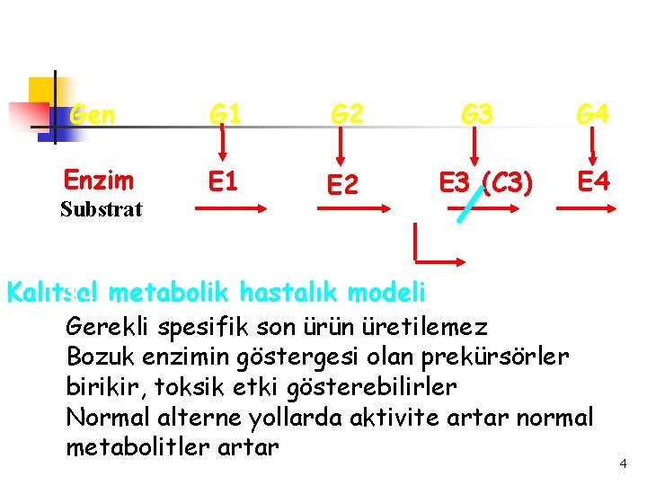 Gen G 1 G 2 Enzim E 1 E 2 Substrat A B G