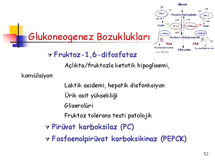 Glukoneogenez Bozuklukları Fruktoz-1, 6 -difosfataz Açlıkta/fruktozla ketotik hipoglisemi, konvülsiyon Laktik asidemi, hepatik disfonksiyon Ürik