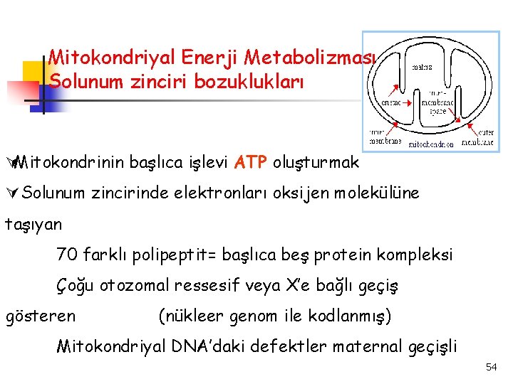 Mitokondriyal Enerji Metabolizması Solunum zinciri bozuklukları Mitokondrinin başlıca işlevi ATP oluşturmak Solunum zincirinde elektronları