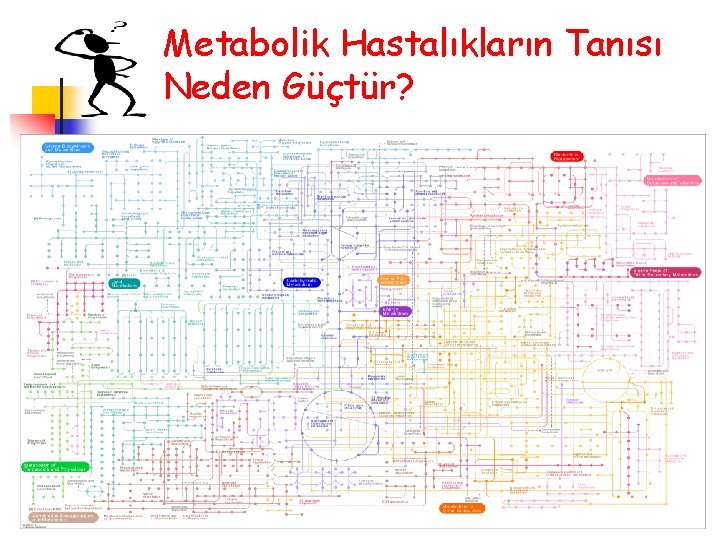 Metabolik Hastalıkların Tanısı Neden Güçtür? İlk olarak benzer tablo yaratan ve daha sık gözlenen