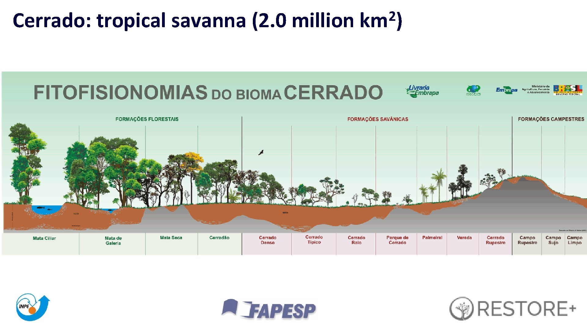 Cerrado: tropical savanna (2. 0 million 2 km ) 