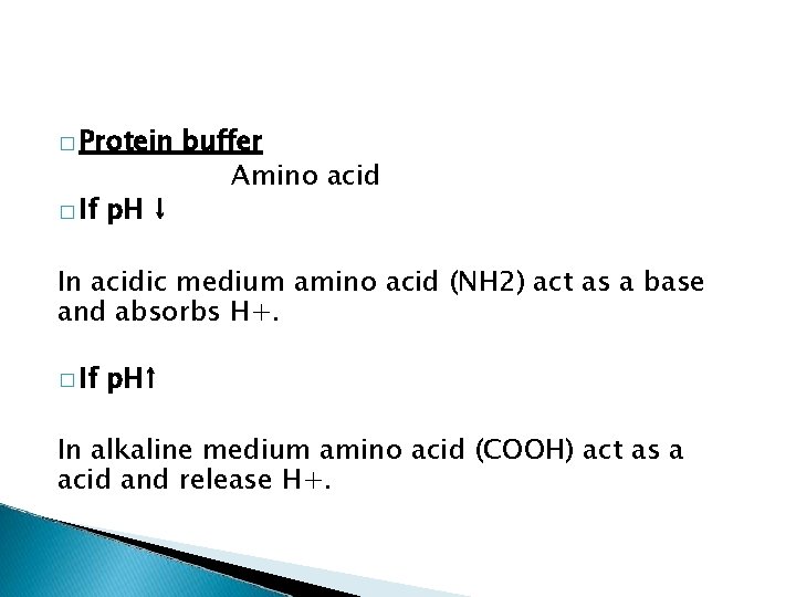 � Protein � If p. H ↓ buffer Amino acid In acidic medium amino