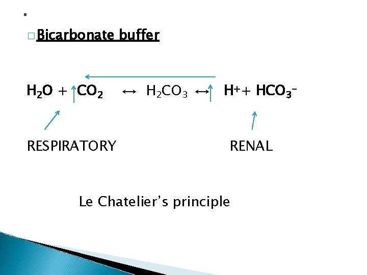 � Bicarbonate buffer H 2 O + CO 2 ↔ H 2 CO 3