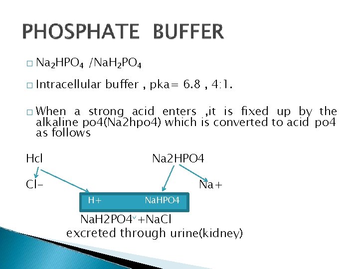 � Na 2 HPO 4 /Na. H 2 PO 4 � Intracellular � buffer