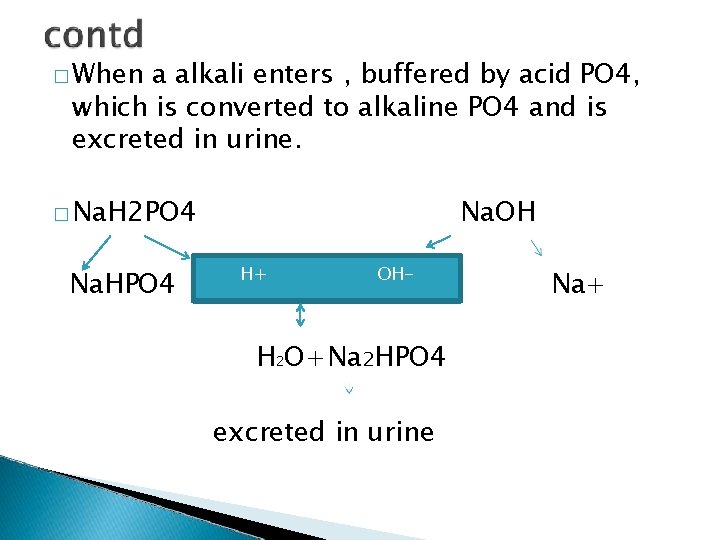 � When a alkali enters , buffered by acid PO 4, which is converted