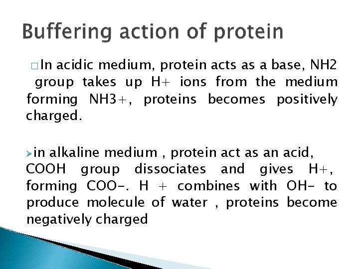 � In acidic medium, protein acts as a base, NH 2 group takes up