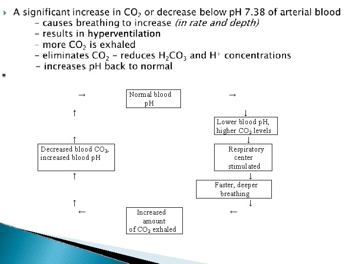 → Normal blood p. H ↑ ↑ Decreased blood CO 2, increased blood p.