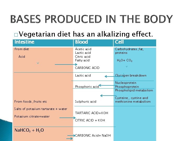 � Vegetarian Intestine diet has an alkalizing effect. From diet Acid Blood Cell Acetic